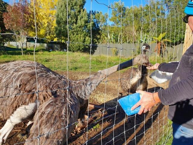 Oasis Motel & Holiday Park Turangi Εξωτερικό φωτογραφία